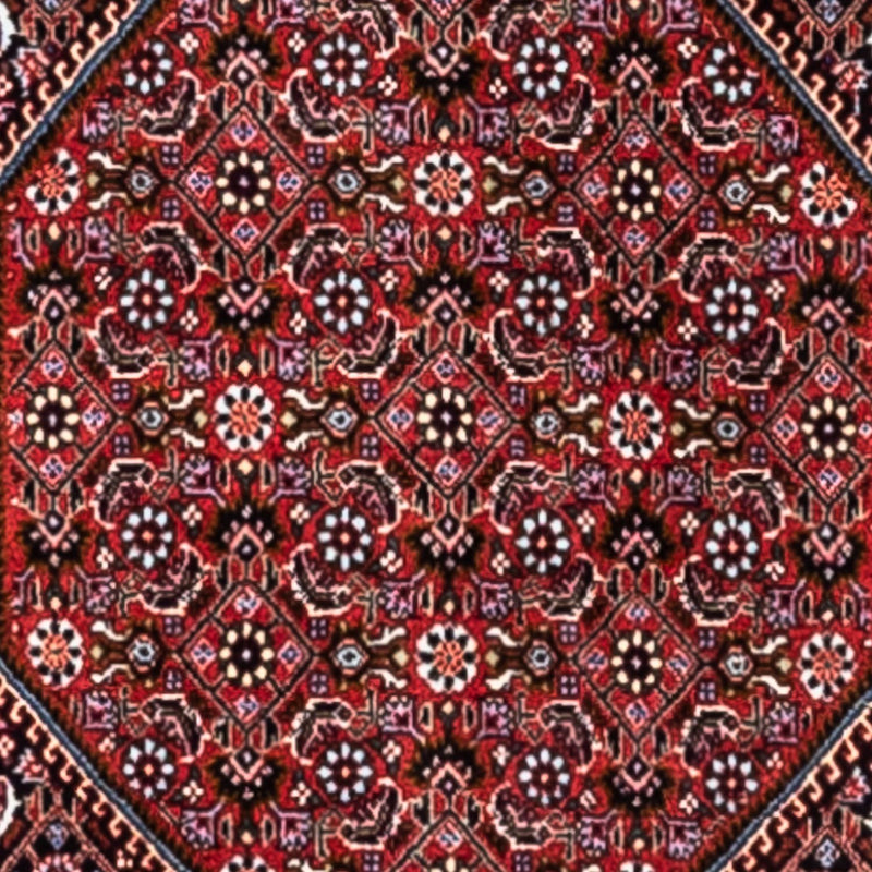 Bidjar - Takab Teppe 318x200cm - Persisk teppe