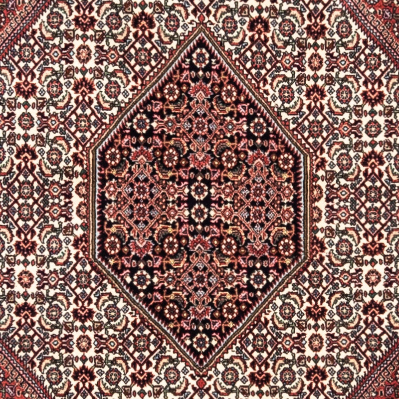 Bidjar - Takab Teppe 295x200cm - Persisk teppe