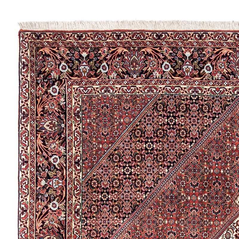 Bidjar - Takab Teppe 295x200cm - Persisk teppe