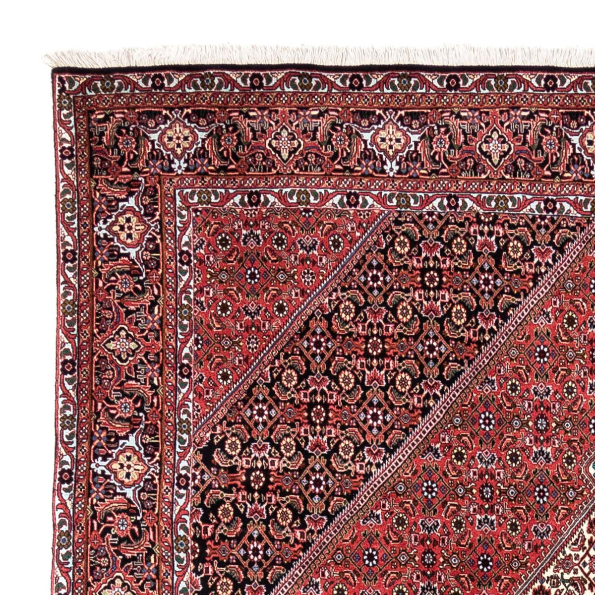 Bidjar - Takab Teppe 200x300cm - Persisk teppe