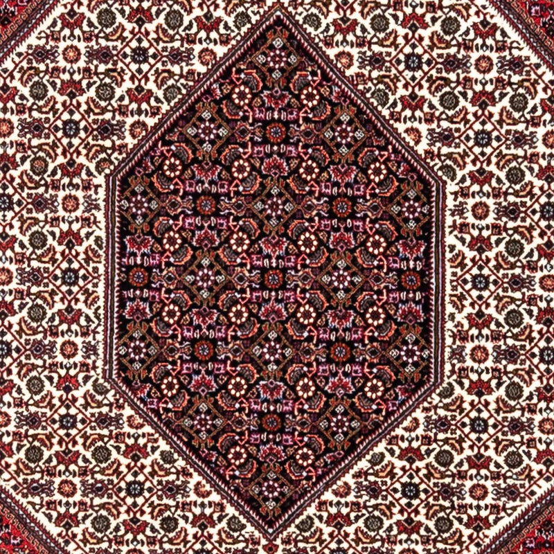 Bidjar - Takab Teppe 302x200cm - Persisk teppe