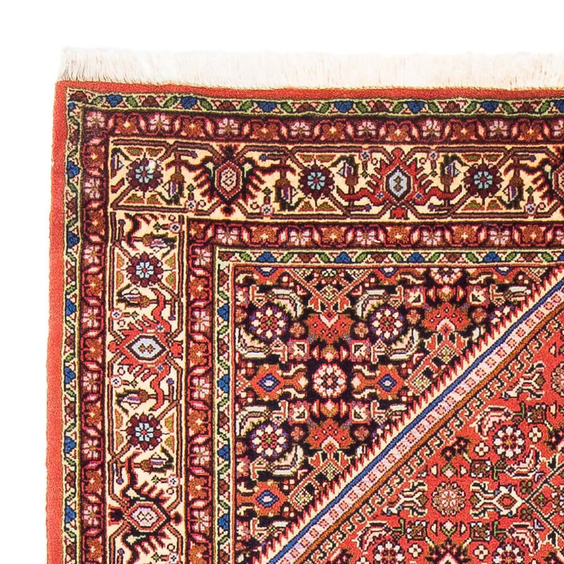 Bidjar - Zanjan Teppe 106x182cm - Persisk teppe