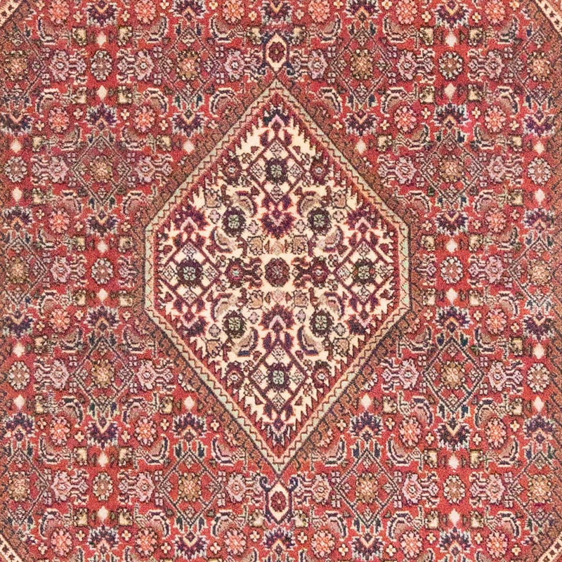 Bidjar - Zanjan Teppe 108x184cm - Persisk teppe