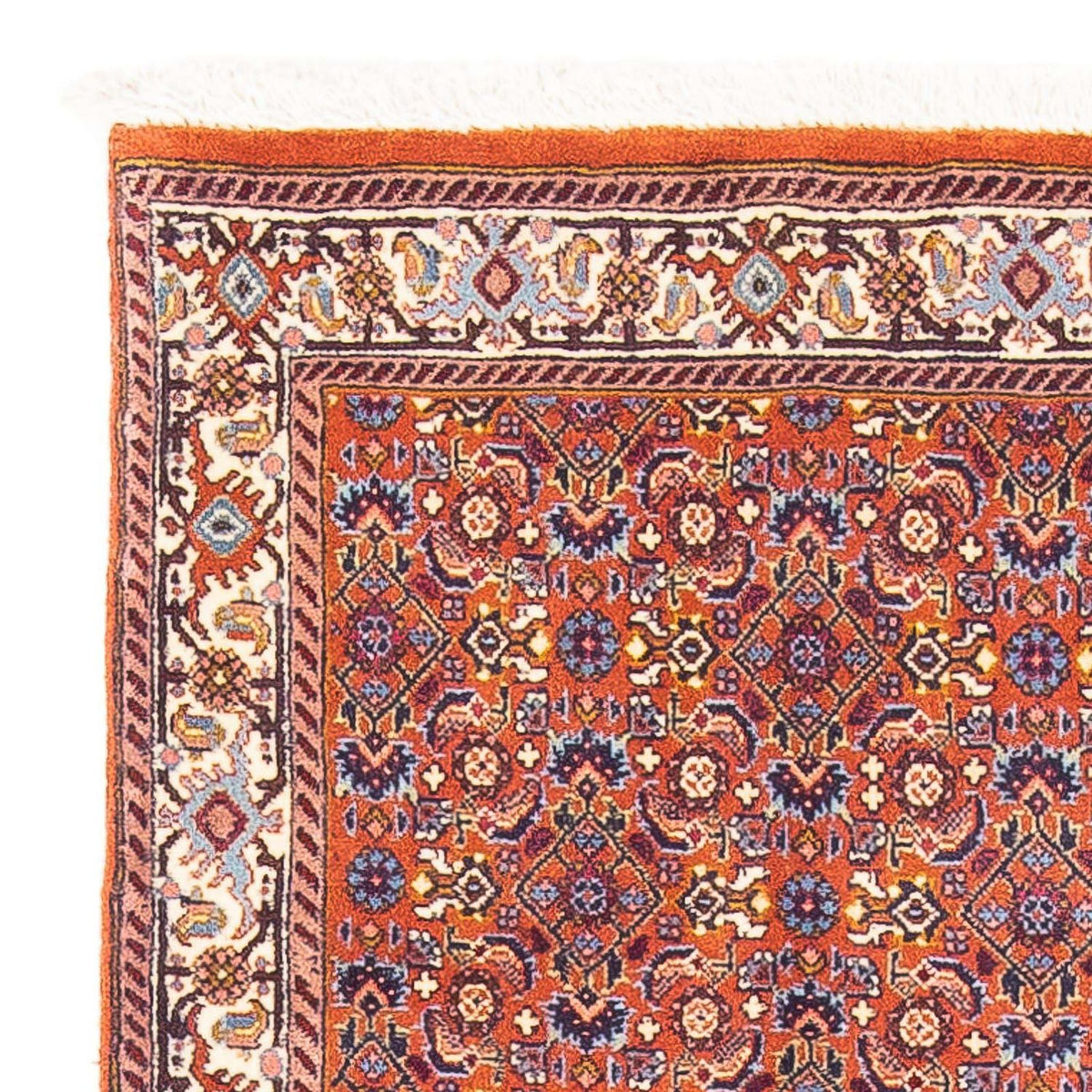 Bidjar - Zanjan Teppe 87x132cm - Persisk teppe