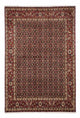 Hosseinabad Teppe 250x170cm - Persisk teppe