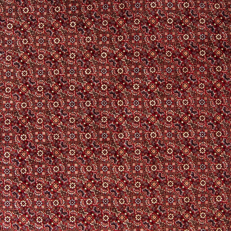 Bidjar Teppe 250x250cm - Persisk teppe