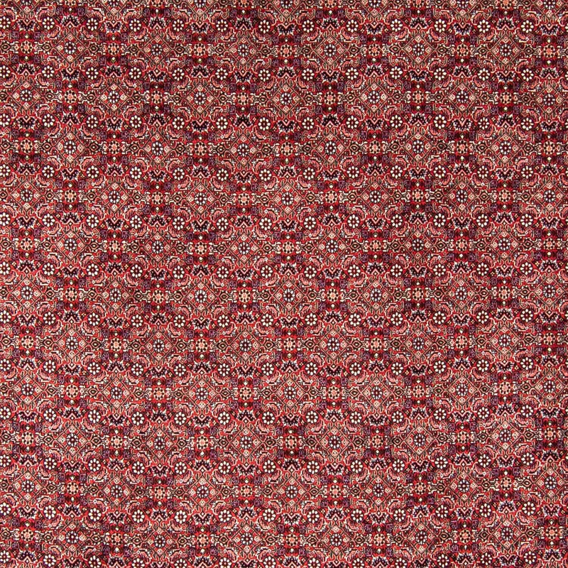 Bidjar Teppe 246x350cm - Persisk teppe