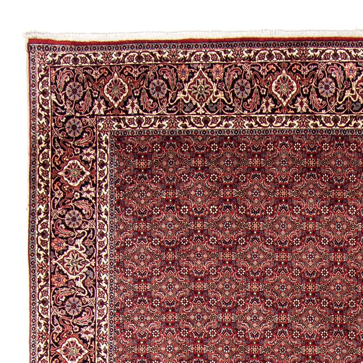 Bidjar Teppe 246x350cm - Persisk teppe