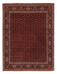 Bidjar Teppe 256x202cm - Persisk teppe – product image