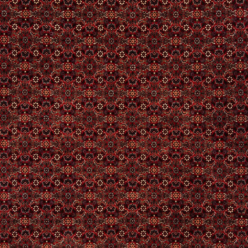 Bidjar Teppe 256x202cm - Persisk teppe
