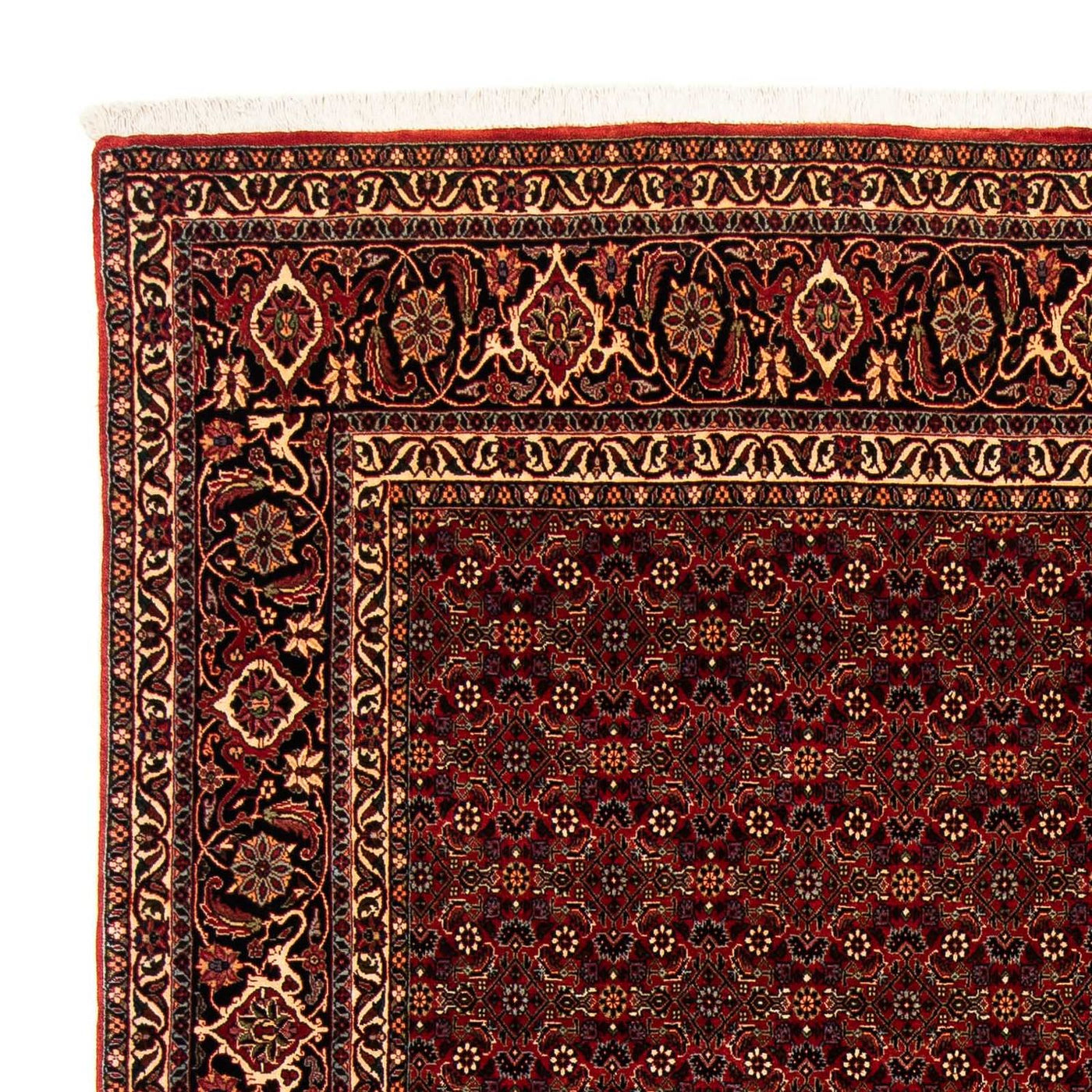 Bidjar Teppe 256x202cm - Persisk teppe