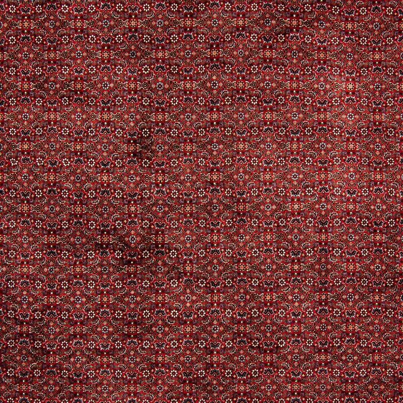 Bidjar Teppe 392x299cm - Persisk teppe