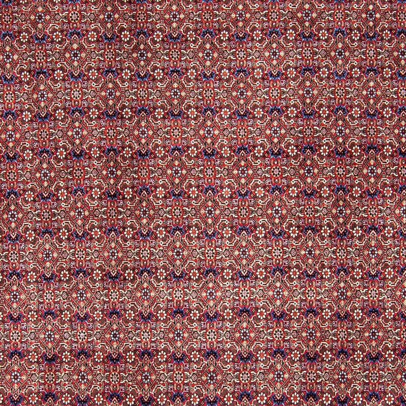 Bidjar Teppe 250x292cm - Persisk teppe