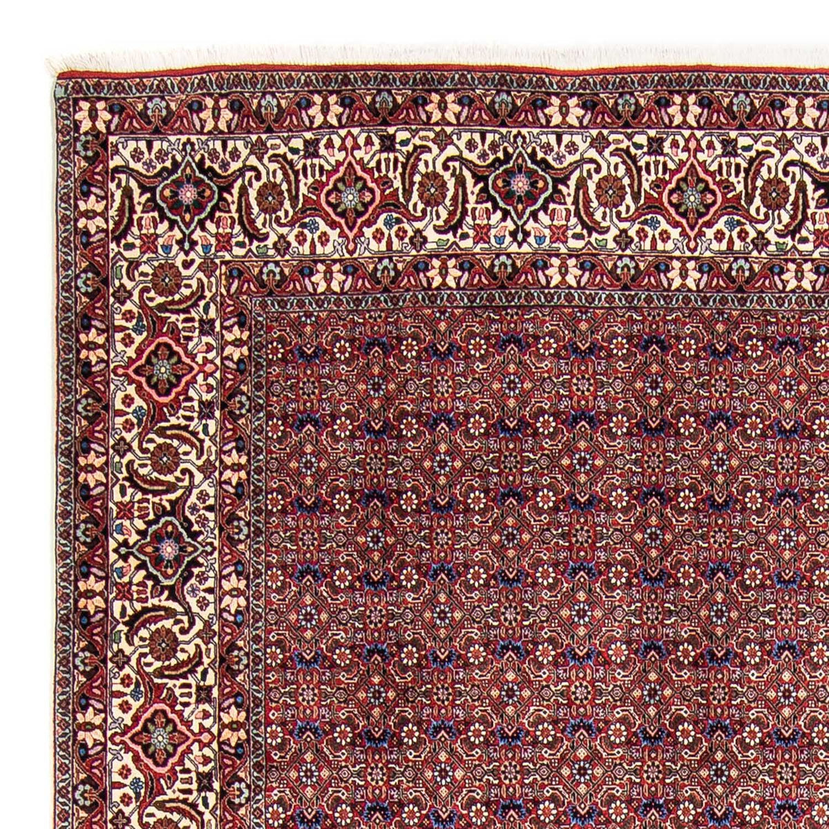 Bidjar Teppe 250x292cm - Persisk teppe