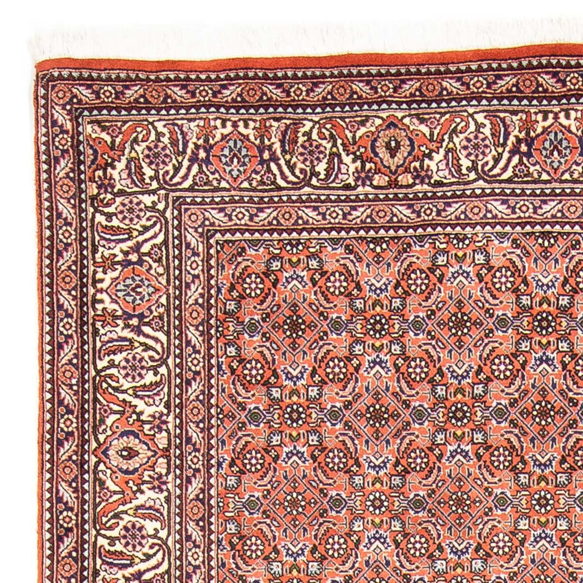 Bidjar Teppe 168x239cm - Persisk teppe