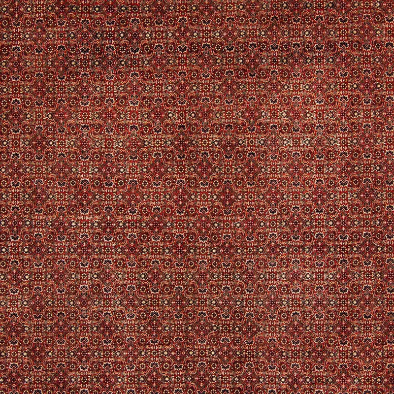 Bidjar Teppe 300x384cm - Persisk teppe
