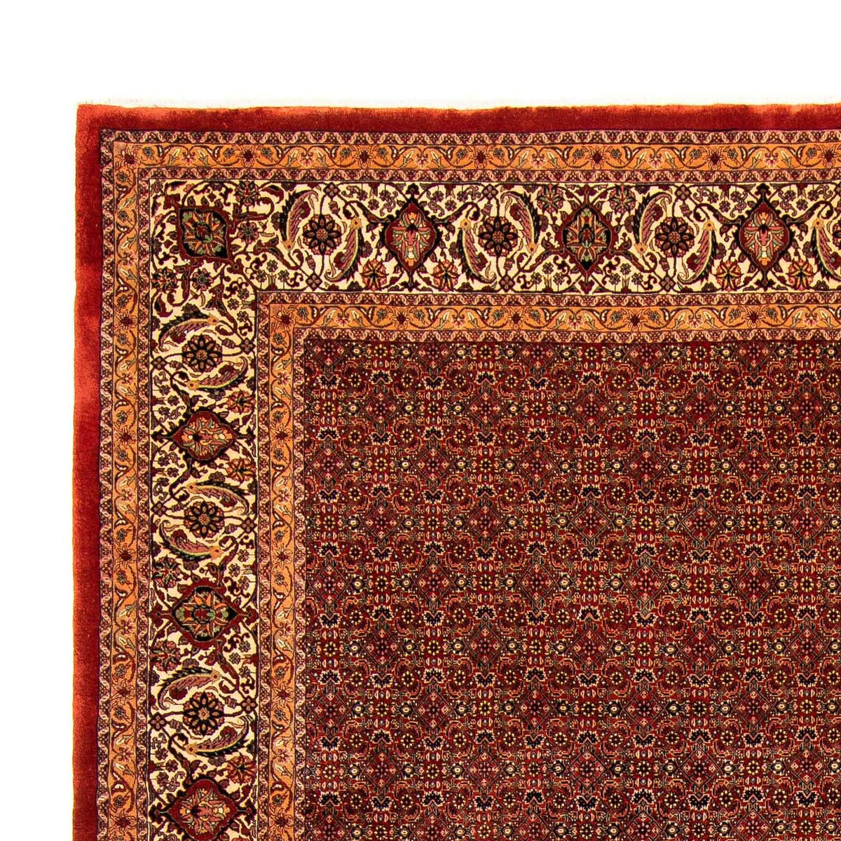 Bidjar Teppe 300x384cm - Persisk teppe