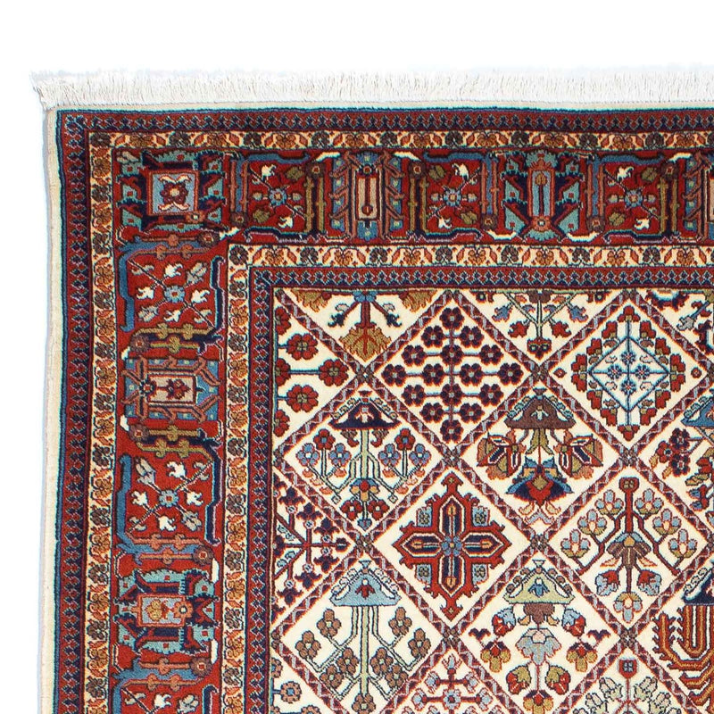 Kashkuli Teppe 167x250cm - Persisk teppe