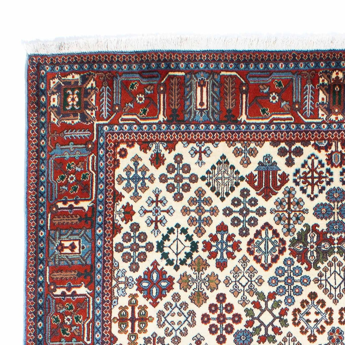 Kashkuli Teppe 159x241cm - Persisk teppe