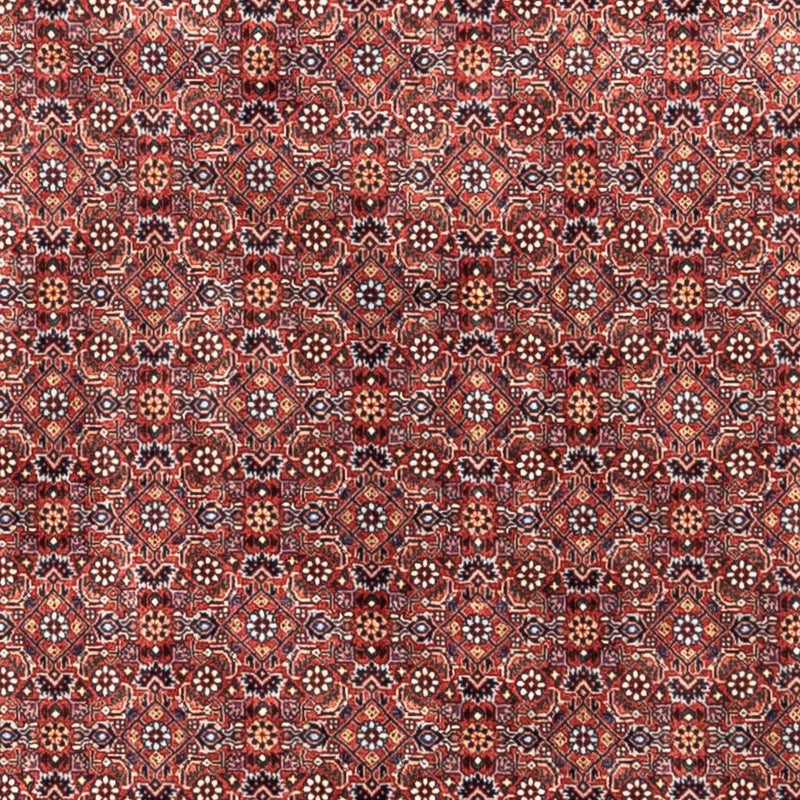 Bidjar - Takab Teppe 204x306cm - Persisk teppe