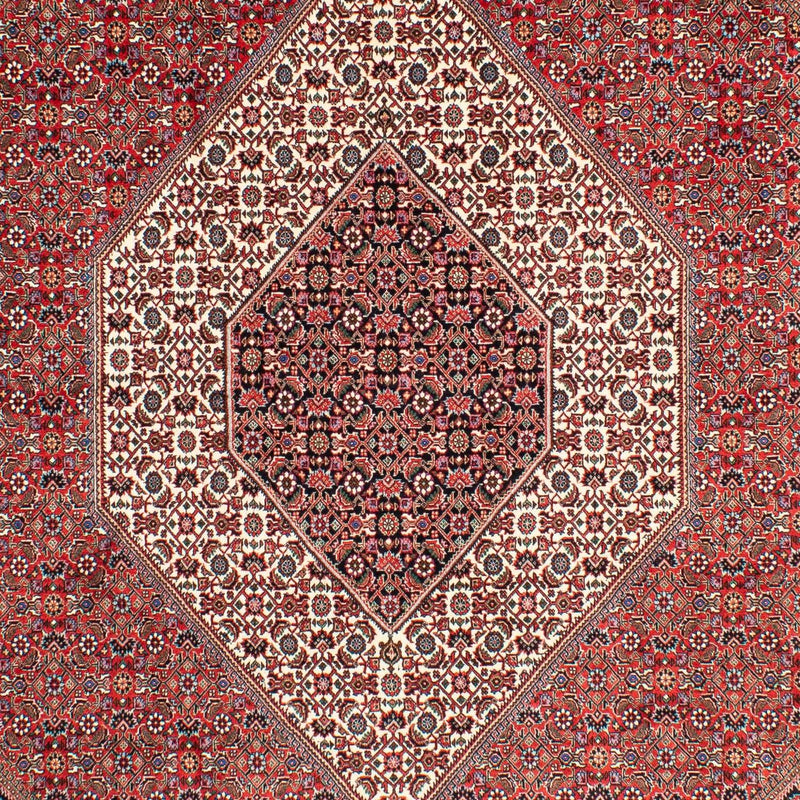 Bidjar Teppe 300x203cm - Persisk teppe