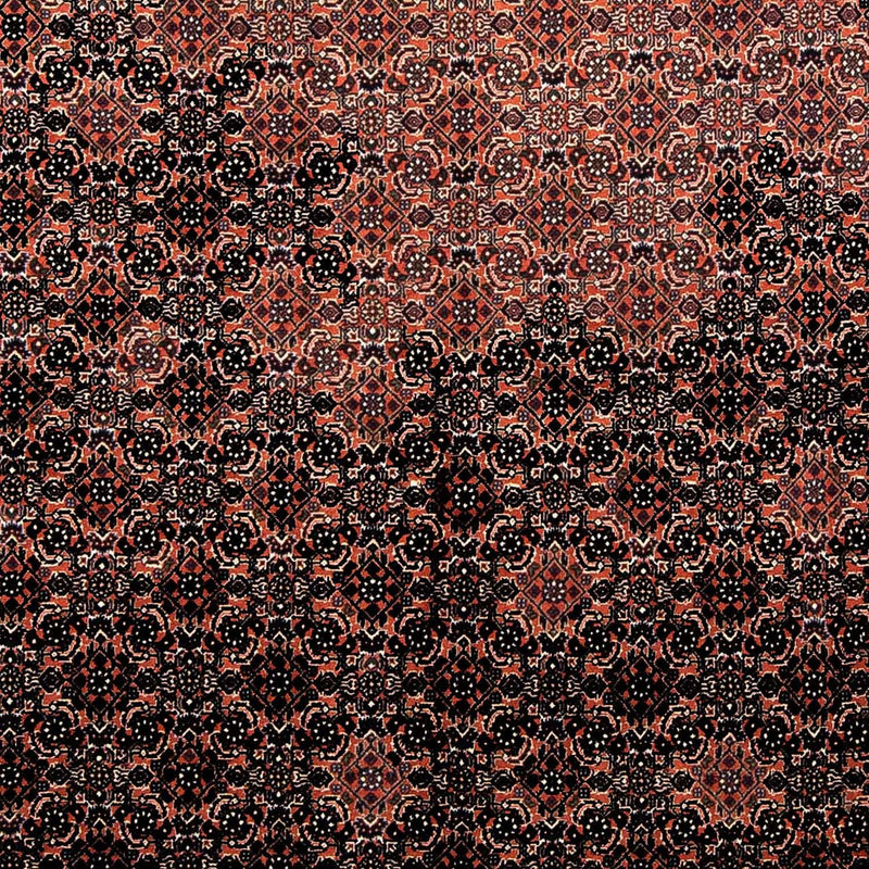 Bidjar Teppe 250x173cm - Persisk teppe