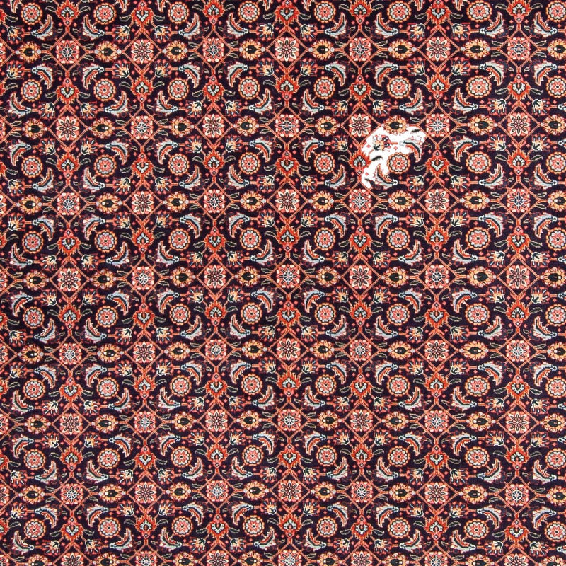 Tabriz Teppe 295x202cm - Persisk teppe