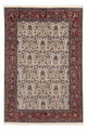 Moud Teppe 289x194cm - Persisk teppe