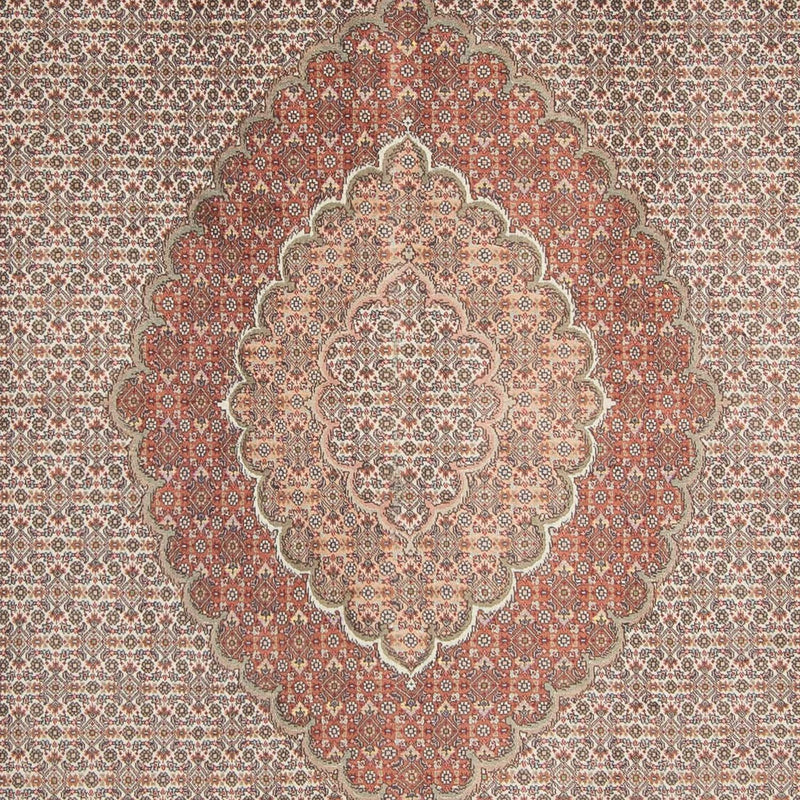 Tabriz Teppe 305x198cm - Persisk teppe