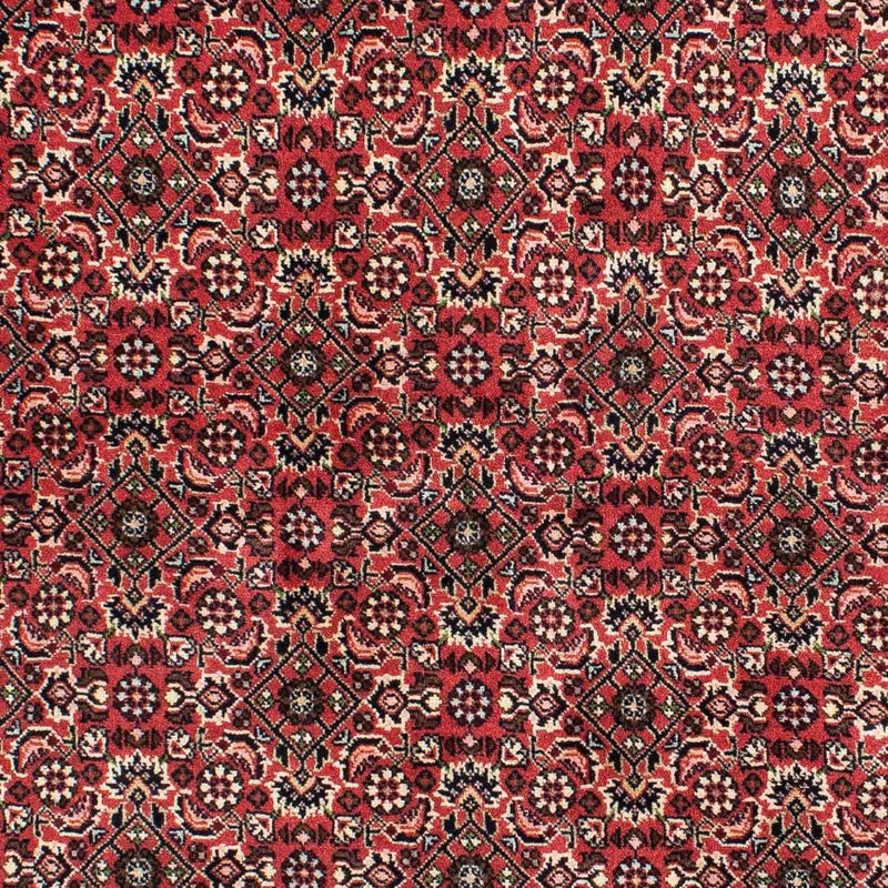 Bidjar - Zanjan Teppe 208x139cm - Persisk teppe