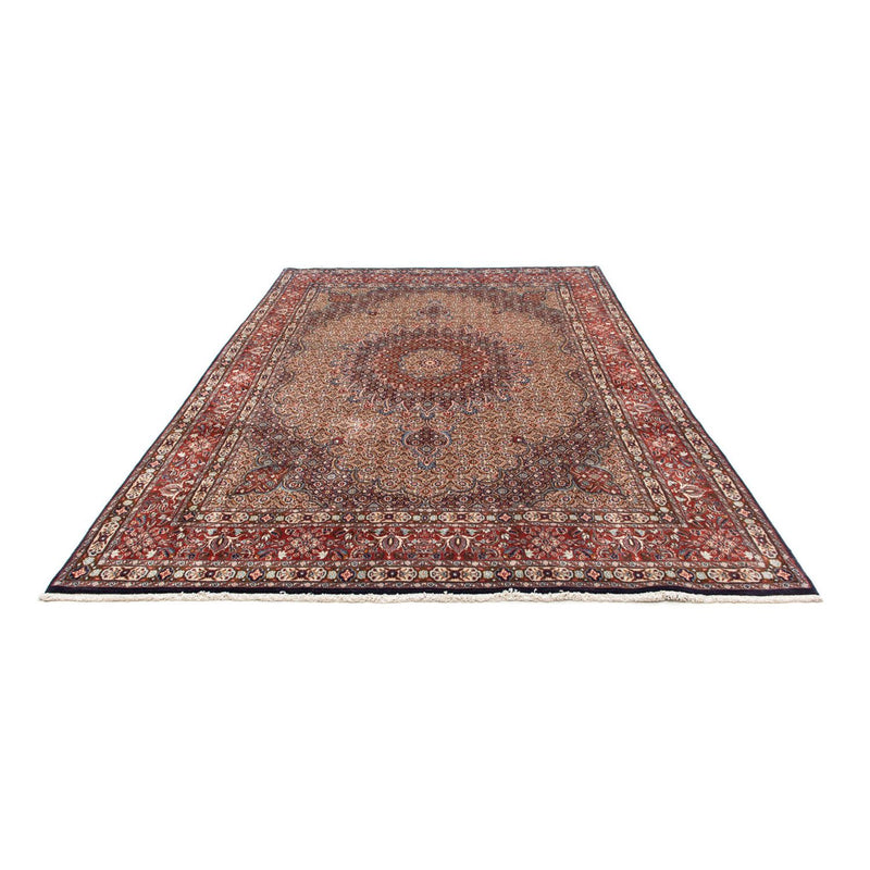 Moud Teppe 300x199cm - Persisk teppe