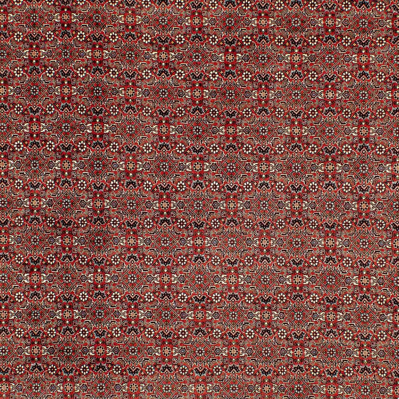 Bidjar Teppe 206x300cm - Persisk teppe