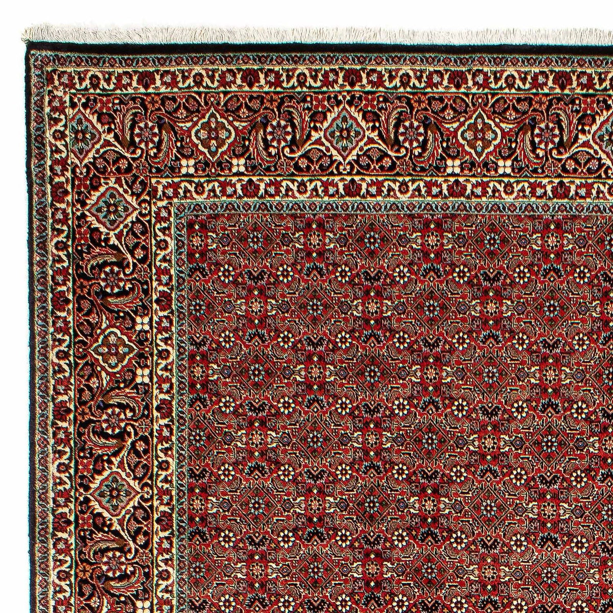 Bidjar Teppe 206x300cm - Persisk teppe