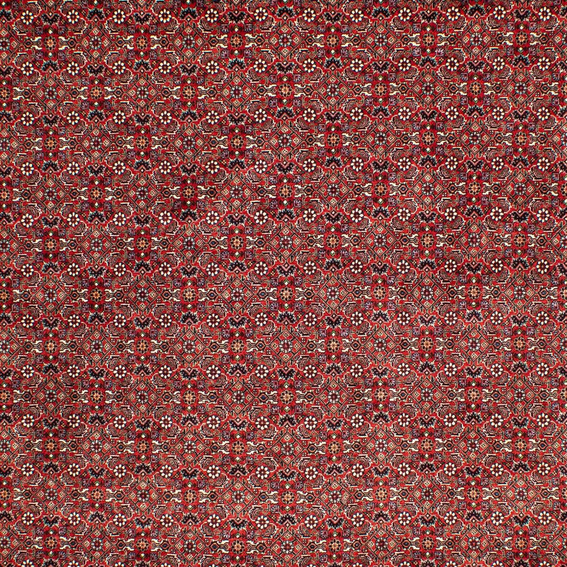 Bidjar Teppe 302x210cm - Persisk teppe
