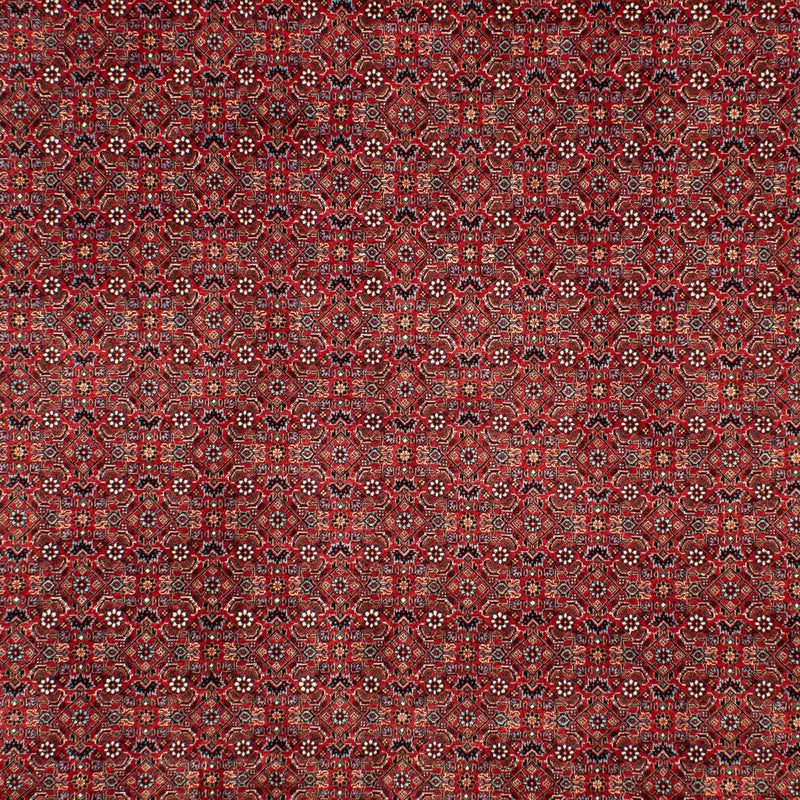 Bidjar Teppe 298x205cm - Persisk teppe