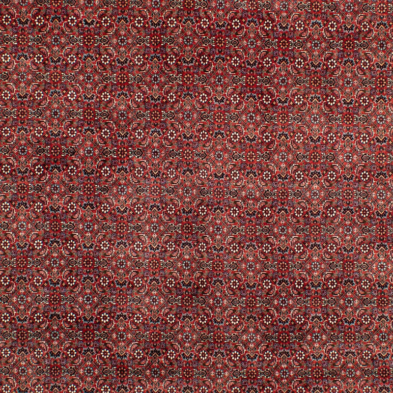 Bidjar Teppe 299x202cm - Persisk teppe