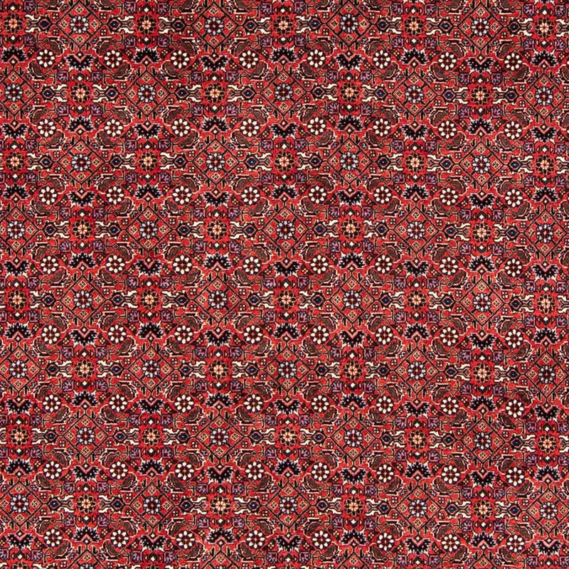 Bidjar Teppe 243x173cm - Persisk teppe