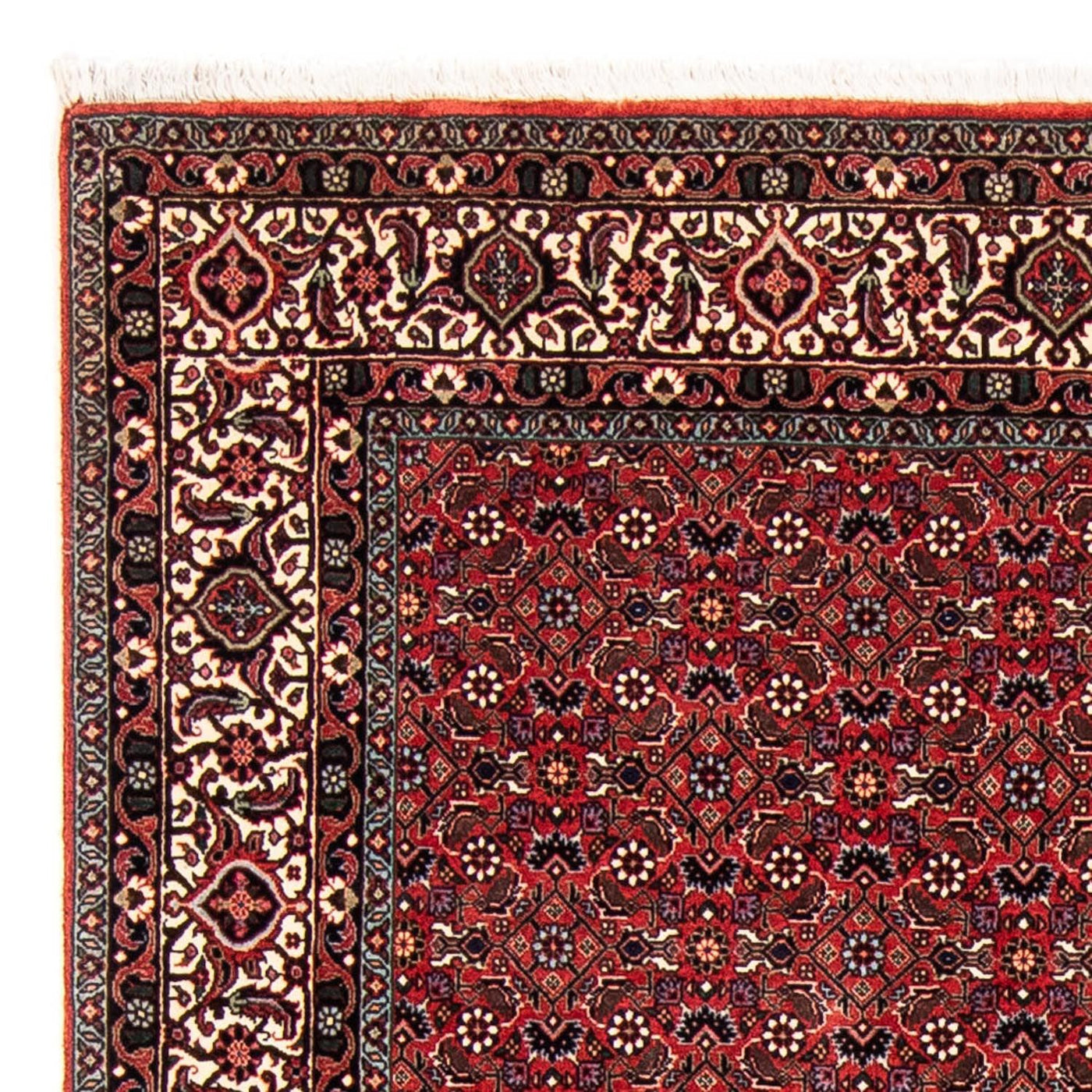 Bidjar Teppe 243x173cm - Persisk teppe