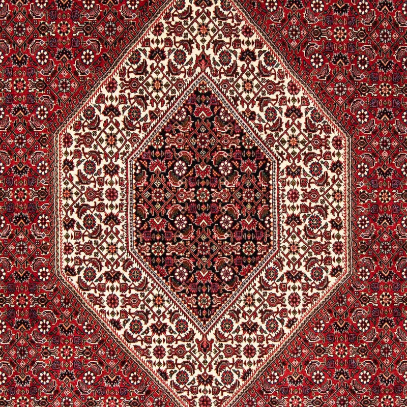 Bidjar Teppe 246x170cm - Persisk teppe