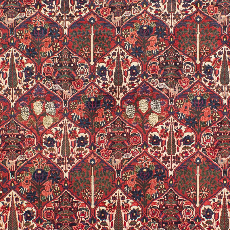 Bakhtiari Teppe 210x323cm - Persisk teppe