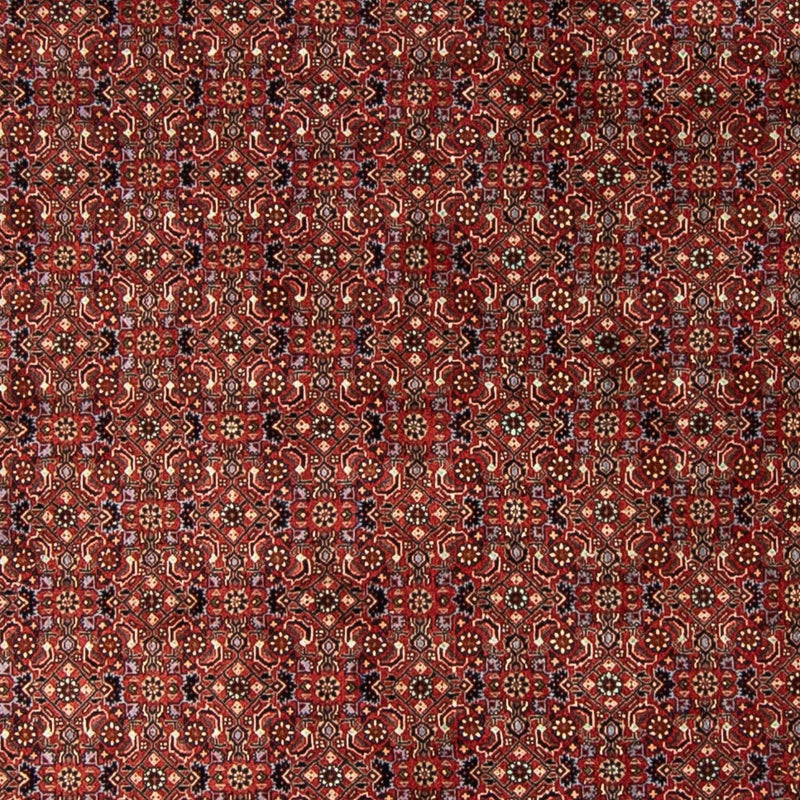 Bidjar Teppe 250x250cm - Persisk teppe
