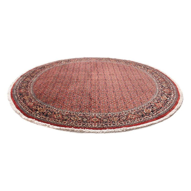 Bidjar Teppe 250x250cm - Persisk teppe
