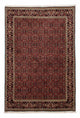 Bidjar Teppe 246x172cm - Persisk teppe