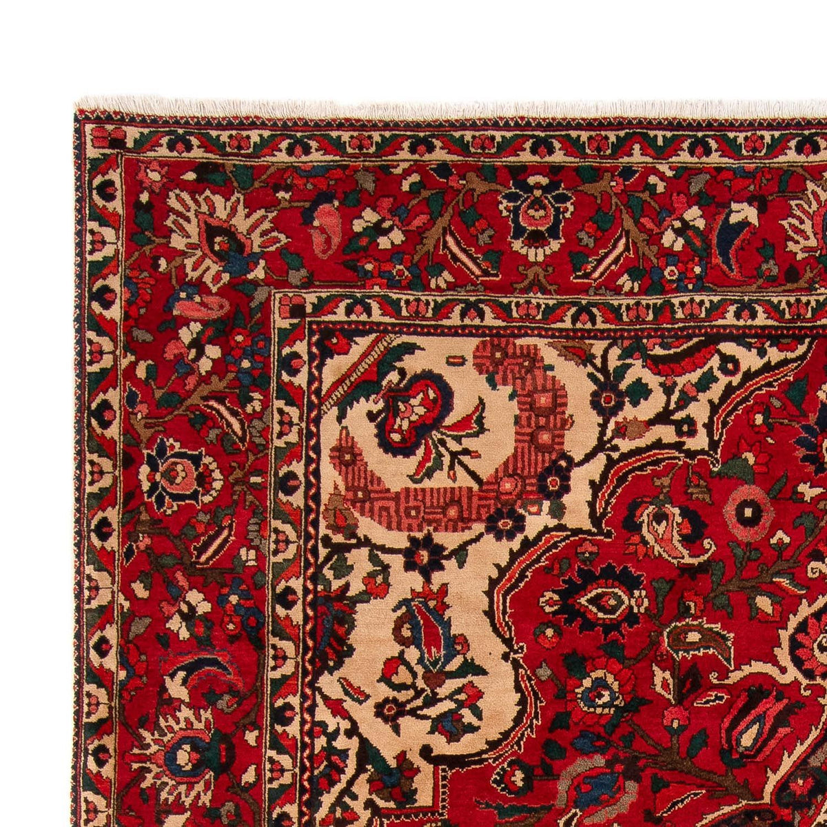 Bakhtiari Teppe 258x362cm - Persisk teppe