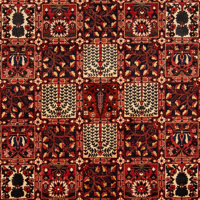 Bakhtiari Teppe 365x265cm - Persisk teppe