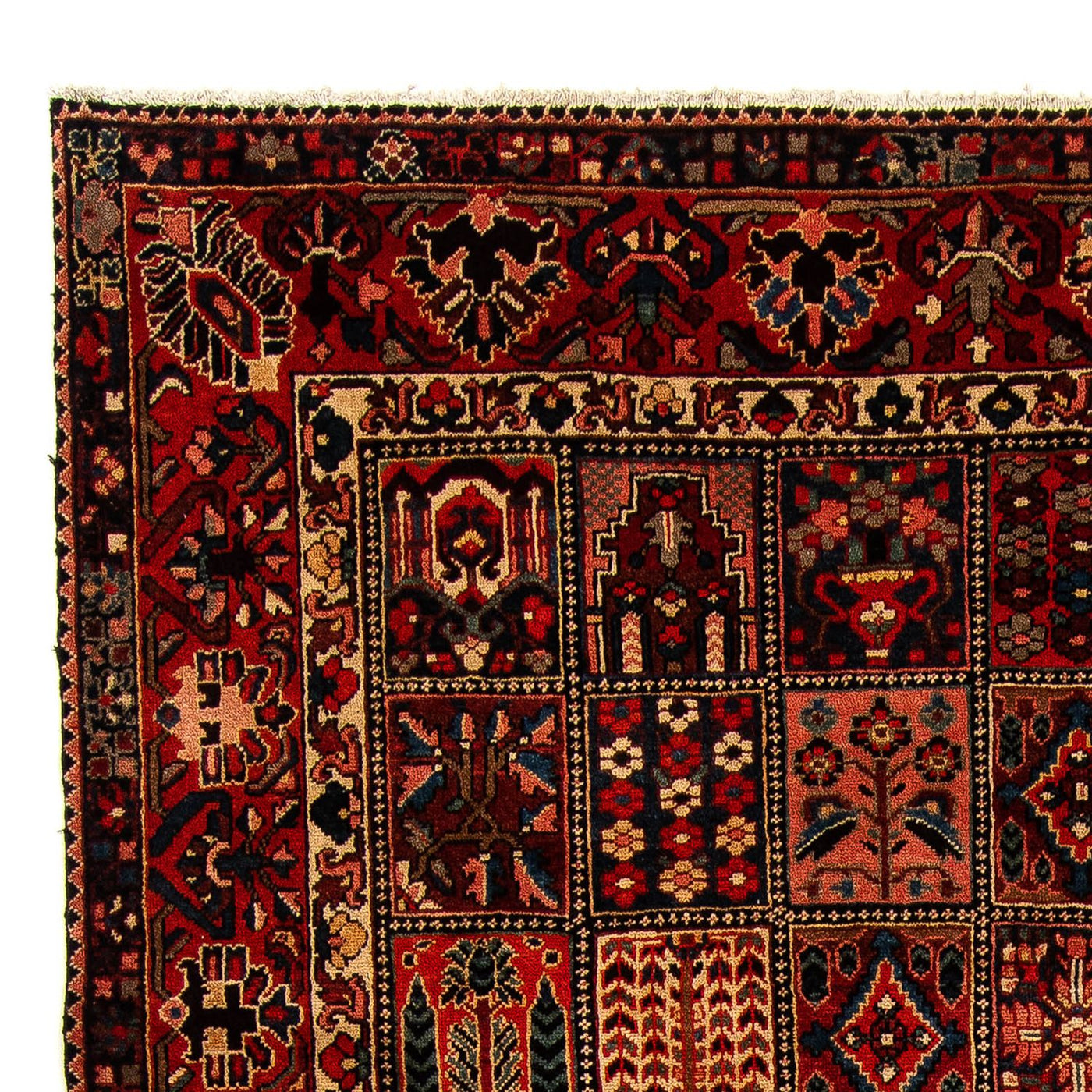 Bakhtiari Teppe 351x302cm - Persisk teppe