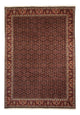 Bidjar Teppe 345x245cm - Persisk teppe