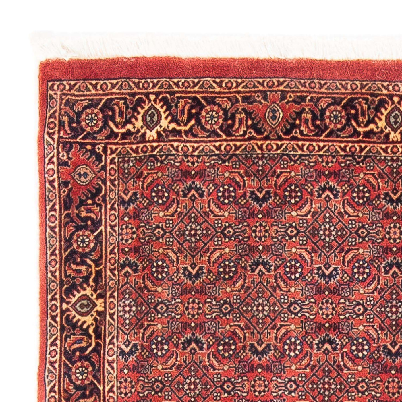 Bidjar Teppe 154x90cm - Persisk teppe