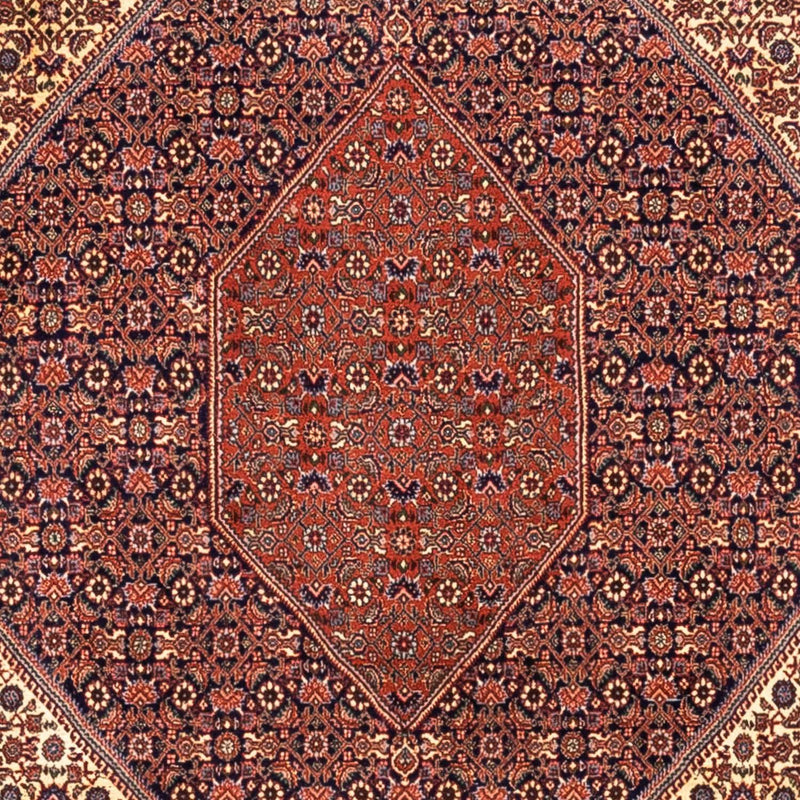 Bidjar - Takab Teppe 254x340cm - Persisk teppe
