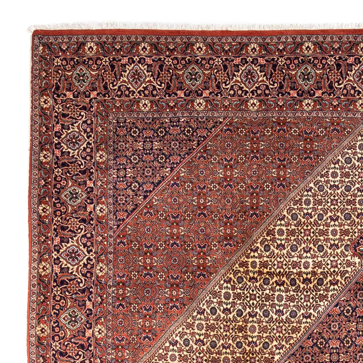 Bidjar - Takab Teppe 254x340cm - Persisk teppe